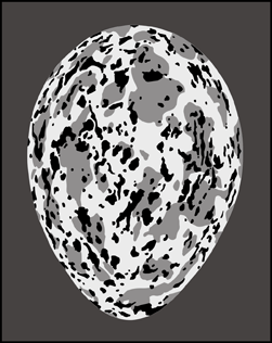 Egg stencil - Animal and Bird
