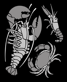 Click to see the actual Shellfish stencil design.