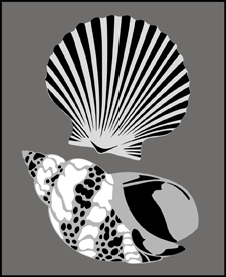 Shells stencil - Animal and Bird