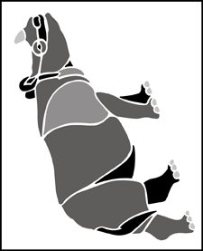 Rhino stencil - Animal and Bird