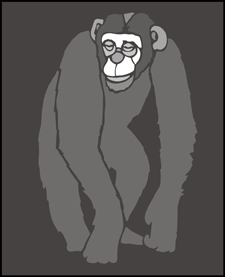 Chimp stencil - Animal and Bird