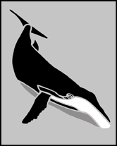Whale  stencil - Animal and Bird