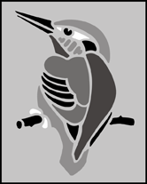 Kingfisher stencil - Animal and Bird