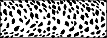 Cheetah stencil - Budget