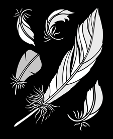 Feathers stencil - Budget