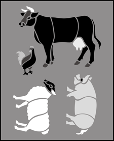 Budget | TP41 | Farmyard stencil Farmyard stencil - Budget