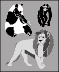Budget | TP45 | Jungle stencil Jungle stencil - Budget