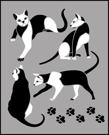 Budget | TP53 | Cats stencil Cats stencil - Budget