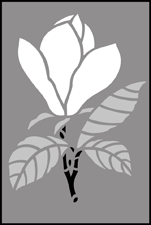 Magnolia Solo stencil - Budget