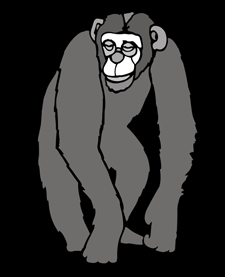 Chimp stencil - Childrens