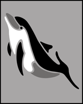 Dolphin stencil - Childrens