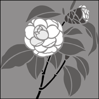 Camellia  stencil section.
