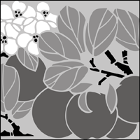 The Apple Blossom stencil - price £49.25 Apple Blossom stencil