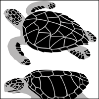 Turtles stencil section.