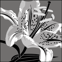 CO15 - Lily stencil