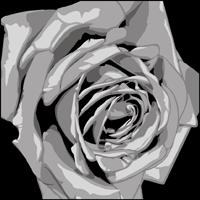 CO1 - Rose stencil