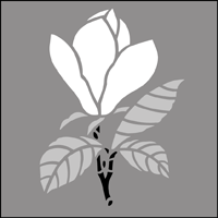 CS41 - Magnolia solo stencil CS41 - Magnolia solo stencil