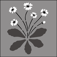 Daisies Solo stencil section.