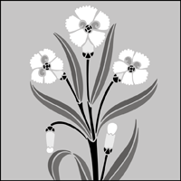 GMT80 - Carnation stencil