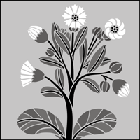 The Corn Marigold stencil - price £25.95 Corn Marigold stencil