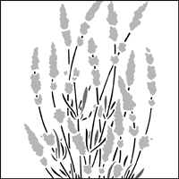 The Lavender stencil - price £20.30 Lavender stencil