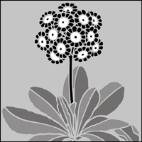 The Auricula stencil - price £22.45 Auricula stencil