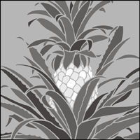 Pineapple  stencil