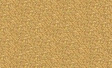 Metallic paint - Gold. Metallic paint - Gold.