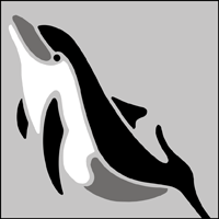 Dolphin stencil