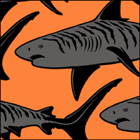 VN134 - Sharks stencil