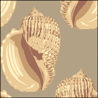 Shells stencil