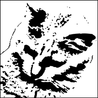 This image just shows a section of the design. Click to see the full stencil design. Baroque Cat stencil section.