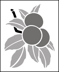 Apples  stencil - Fruit and Flower