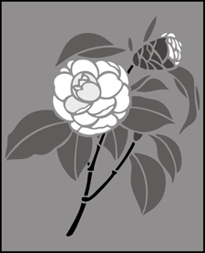 Camellia  stencil - Fruit and Flower