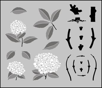 Hydrangea stencil - Fruit and Flower