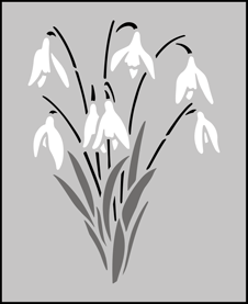 Snowdrops  stencil - Fruit and Flower